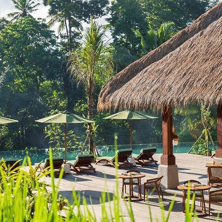 Hotel Adiwana Suweta Ubud Esterno foto The swimming pool at the hotel