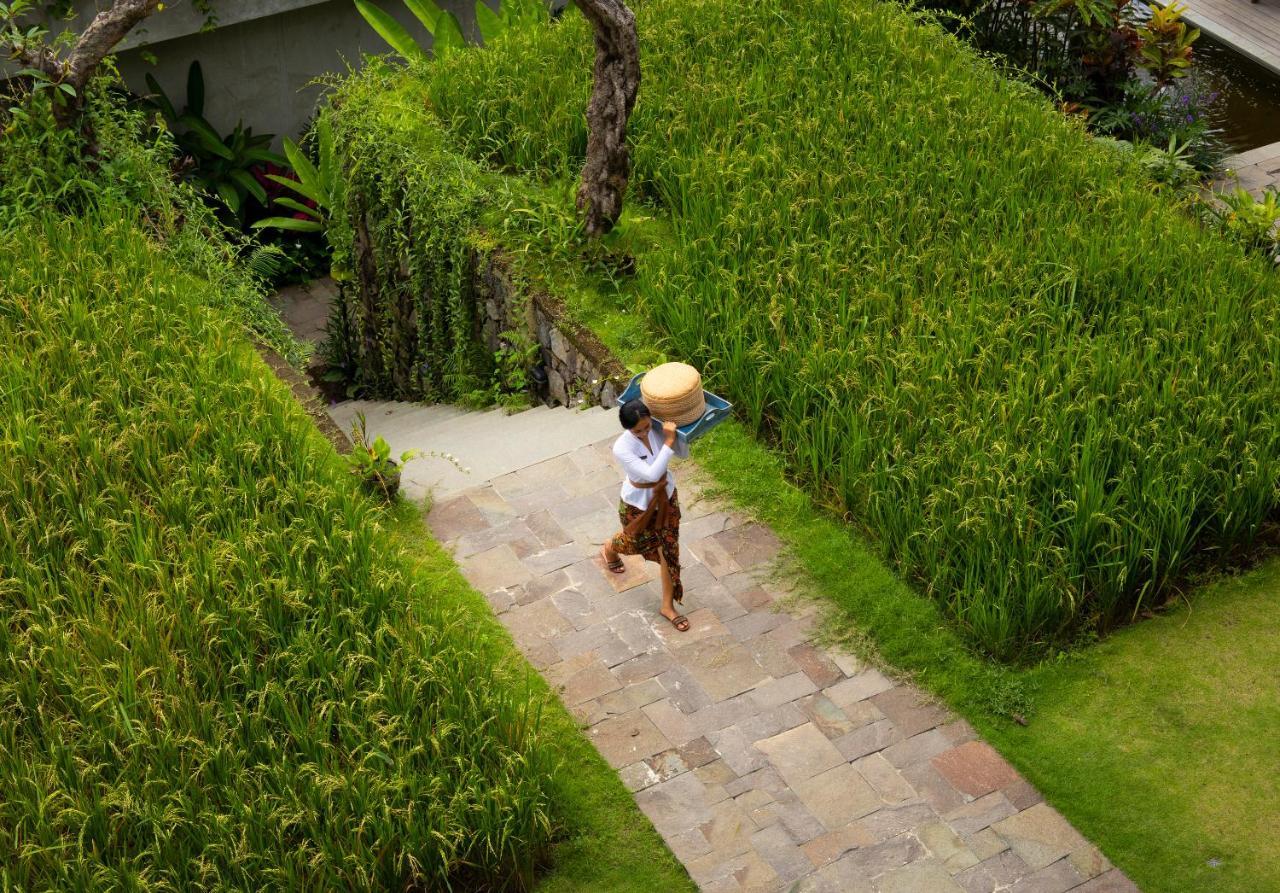 Hotel Adiwana Suweta Ubud Esterno foto A farmer in Bali