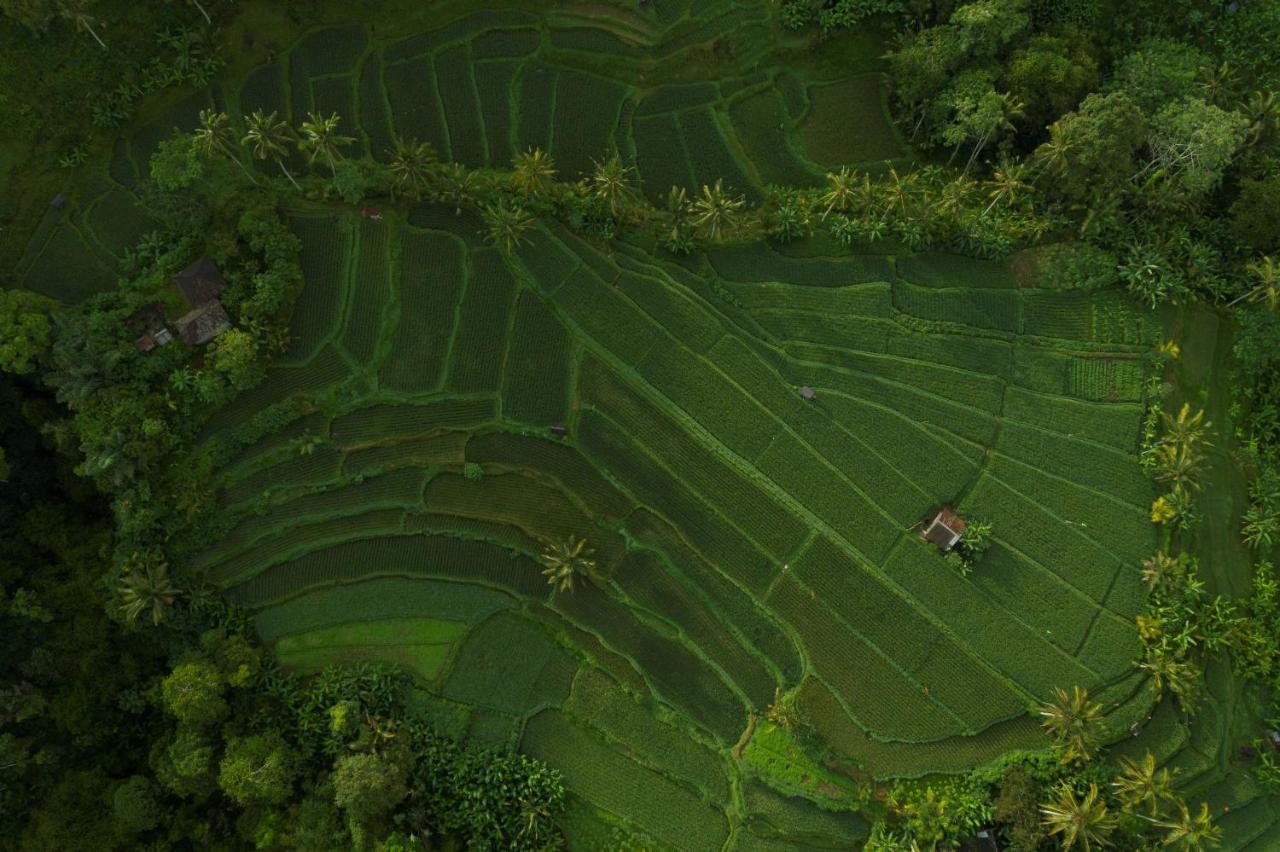 Hotel Adiwana Suweta Ubud Esterno foto Aerial view of a rice paddy in Bali, Indonesia